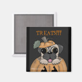 Glücklicher Halloween-Mops in Jack O' Lantern Magnet (Vorderseite/Rückseite)