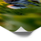 Glücklicher Hasenfuß Poster (Ecke)