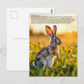 Glücklicher Hasenfuß Postkarte (Vorne/Hinten)