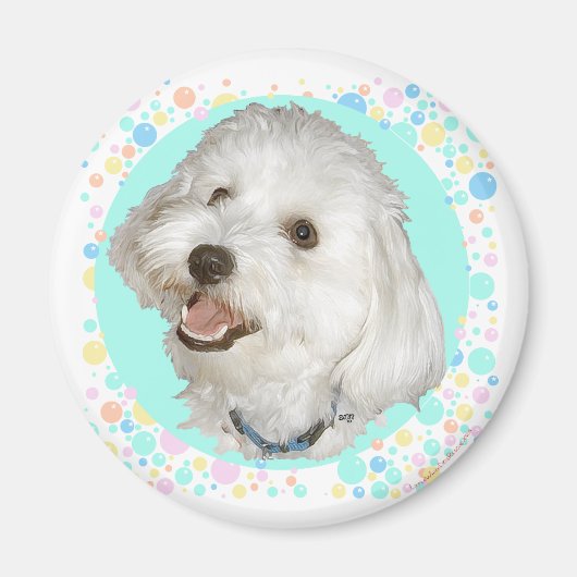Glücklicher Havanese Magnet (Vorne)