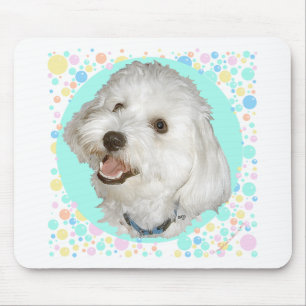 Glücklicher Havanese Mousepad