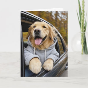 Glücklicher Herbst Golden Retriever fährt in einem Karte