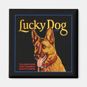 Glücklicher Hund Magnet