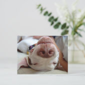 Glücklicher Hund Postkarte (Stehend Vorderseite)