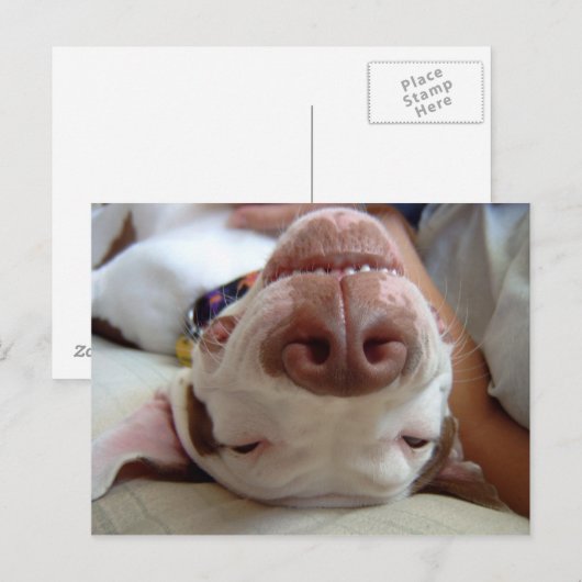 Glücklicher Hund Postkarte (Vorne/Hinten)