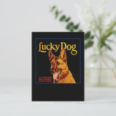 Glücklicher Hund Postkarte (Stehend Vorderseite)