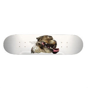 Glücklicher Hund - Skateboard