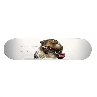 Glücklicher Hund - Skateboard
