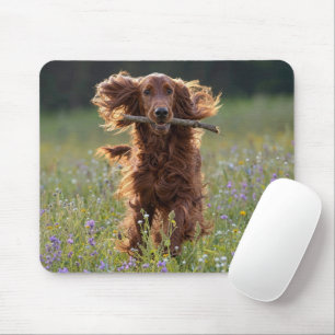 Glücklicher Irischer Setter im Wildblumenfeld Mousepad