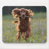 Glücklicher Irischer Setter im Wildblumenfeld Mousepad (Vorne)
