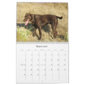 Glücklicher Jagdhund-Labrador retriever-Kalender Kalender (Mär 2027)