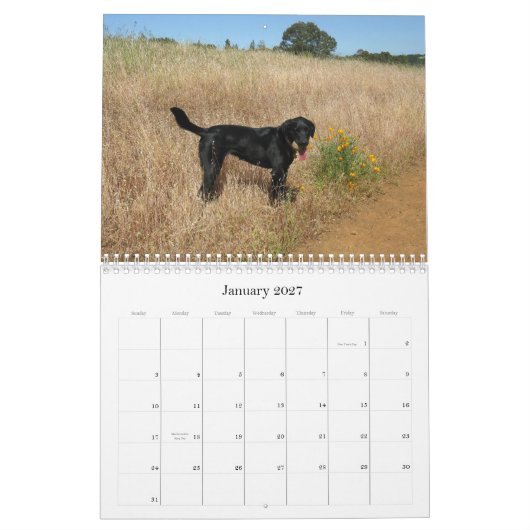 Glücklicher Jagdhund-Labrador retriever-Kalender Kalender (Jan 2027)