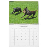 Glücklicher Jagdhund-Retriever-Kalender 2012 Kalender (Feb 2027)