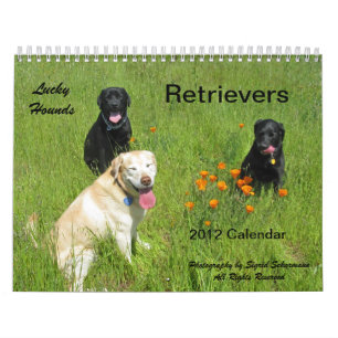 Glücklicher Jagdhund-Retriever-Kalender 2012 Kalender