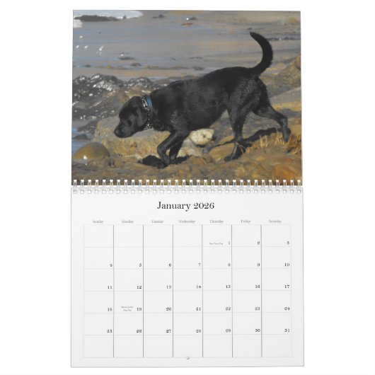 Glücklicher Jagdhund-Retriever-Kalender 2012 Kalender (Jan 2026)
