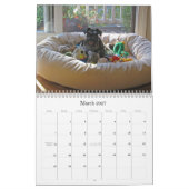 Glücklicher Jagdhund-Zwergschnauzer-Kalender 2013 Kalender (Mär 2027)