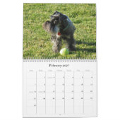 Glücklicher Jagdhund-Zwergschnauzer-Kalender 2013 Kalender (Feb 2027)