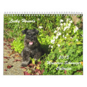 Glücklicher Jagdhund-Zwergschnauzer-Kalender 2013 Kalender (Titelbild)