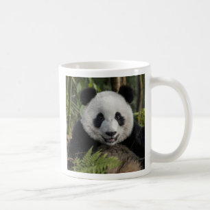 Glücklicher junger Panda, China Kaffeetasse