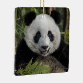 Glücklicher junger Panda, China Keramikornament (Rechts)