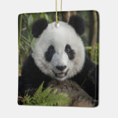 Glücklicher junger Panda, China Keramikornament (Links)