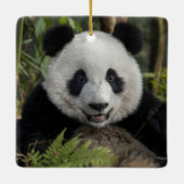 Glücklicher junger Panda, China Keramikornament (Rückseite)