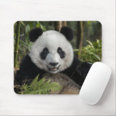 Glücklicher junger Panda, China Mousepad (Mit Mouse)