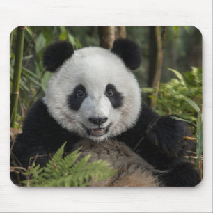 Glücklicher junger Panda, China Mousepad