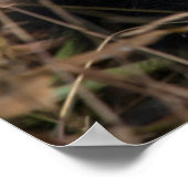 Glücklicher junger Panda, China Poster (Ecke)