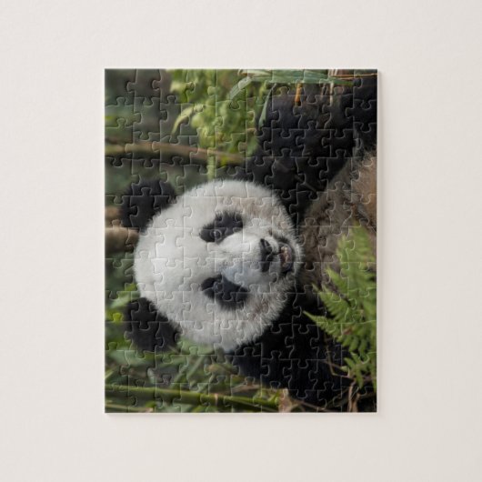 Glücklicher junger Panda, China Puzzle (Vertikal)