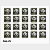 Glücklicher junger Panda, China Quadratischer Aufkleber (Blatt)