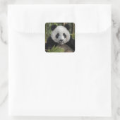 Glücklicher junger Panda, China Quadratischer Aufkleber (Tasche)