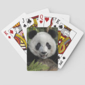 Glücklicher junger Panda, China Spielkarten (Rückseite)
