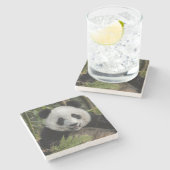 Glücklicher junger Panda, China Steinuntersetzer (Seitenansicht)
