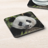 Glücklicher junger Panda, China Untersetzer (Linke Seite)