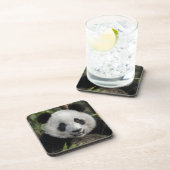 Glücklicher junger Panda, China Untersetzer (Rechte Seite)