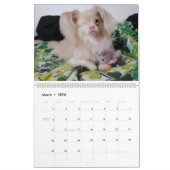 Glücklicher Kalender 2020 (Mär 2026)