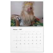 Glücklicher Kalender 2020 (Feb 2027)