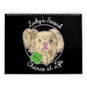 Glücklicher Kalender 2020 (Titelbild)