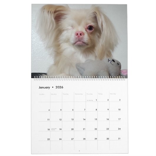 Glücklicher Kalender 2020 (Jan 2026)