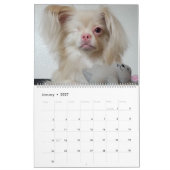 Glücklicher Kalender 2020 (Jan 2027)