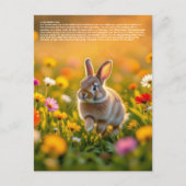 Glücklicher Kaninchenfuß Postkarte (Vorderseite)