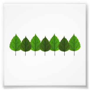 Glücklicher kleiner grüner Baum-Blatt-Wald Fotodruck