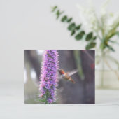 Glücklicher Kolibri Postkarte (Stehend Vorderseite)