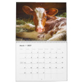 Glücklicher Kühe ~ 2013 Kuh-Kalender Kalender (Mär 2027)