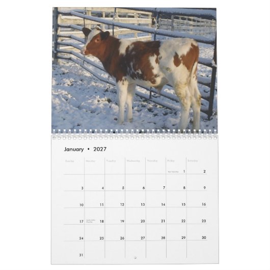 Glücklicher Kühe ~ 2013 Kuh-Kalender Kalender (Jan 2027)