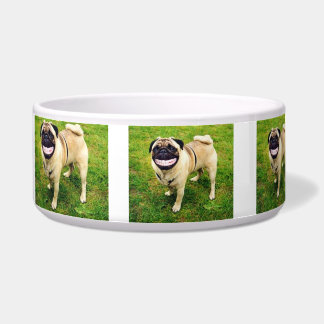 GLÜCKLICHER LÄCHELN-HUND GLÜCKLICH, MEINE NAPF