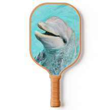 Glücklicher lächelnder Delfin 