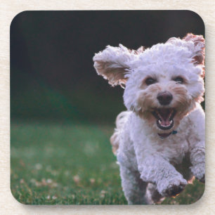 glücklicher Laufhund Getränkeuntersetzer