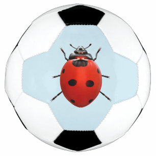 Glücklicher Marienkäfer Fußball